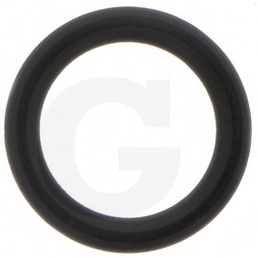 O-Ring Granit