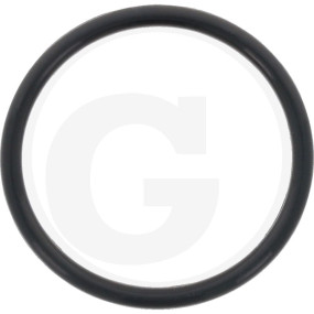 O-Ring Granit 45082063541