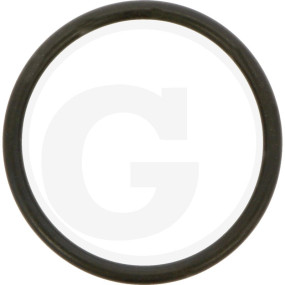 O-Ring Granit