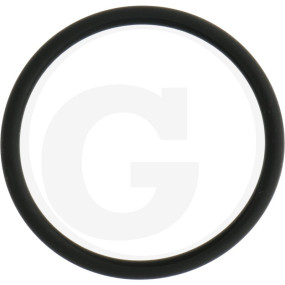 O-Ring Granit