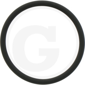 O-Ring Granit