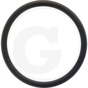 O-Ring Granit