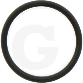 O-Ring Granit