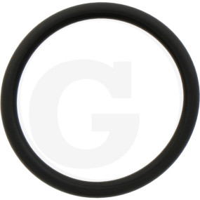 O-Ring Granit