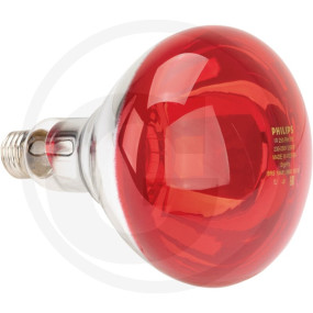 Infrarotlampe 250W Granit 56438116400250R