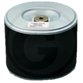 Luftfilter P607254 Granit