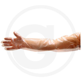 Einmalhandschuhe Lang Vpe50 Granit 580580003