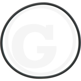 O-Ring 193,68 X 6,99 F. Hydrauliktankdec Granit