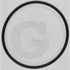 O-Ring 64,5 X 3,0 Granit