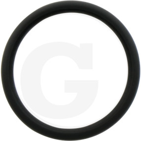 O-Ring Di= 35 Granit 63000005243