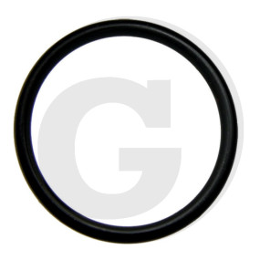 O-Ring Di= 22 Granit
