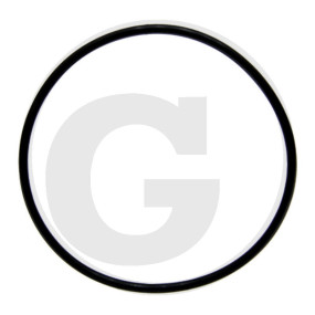 O-Ring Viton Di=94,85 S=3,53 Granit
