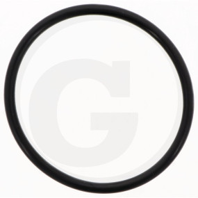 O-Ring Di= 52 Granit