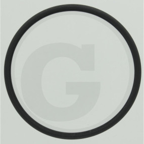 O-Ring Di=70-S=4 Fpm-75 Granit