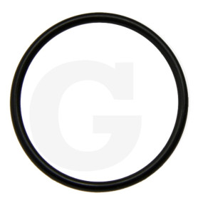 O-Ring Di= 22 Granit 63000032741