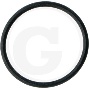 O-Ring Di= 38 Granit 63000037628