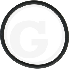 O-Ring Di= 42 Granit 63000041214