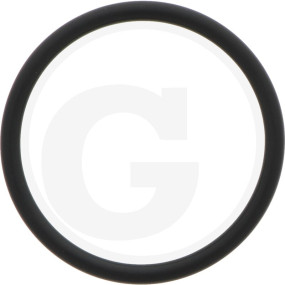 O-Ring Granit