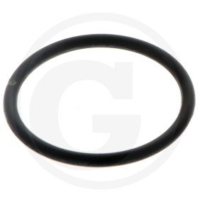 O-Ring (Vpe=5) Granit