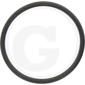 O-Ring Granit
