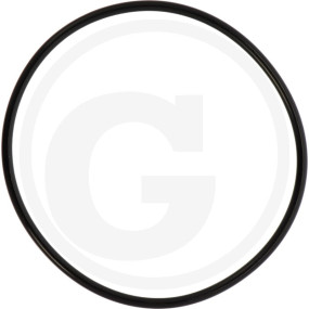 O-Ring Granit