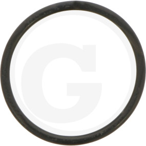 O-Ring Granit
