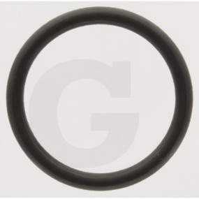 O-Ring Granit