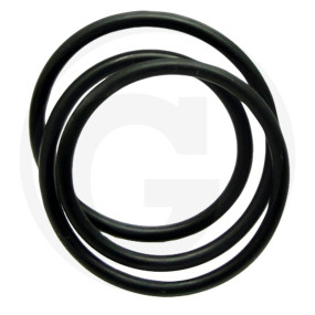 O-Ring Granit 64736107377F