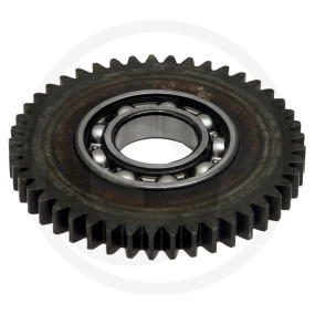 Zahnrad Z=45 Granit 64790296323F