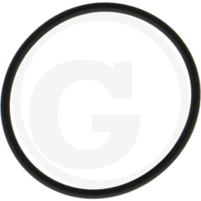 O-Ring Or 3187 Granit