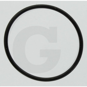 O-Ring 31, 47 X 1, 78 für Wap3300 Granit