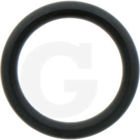 O-Ring Granit 6701210002000