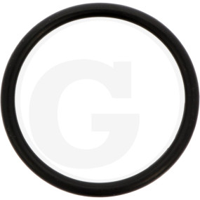 O-Ring Granit 6701210003000