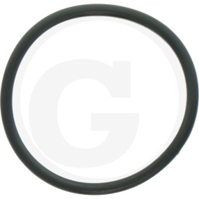 O-Ring 2,62X34,6 Granit 6701210003200