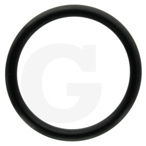 O-Ring Granit 6701210003300