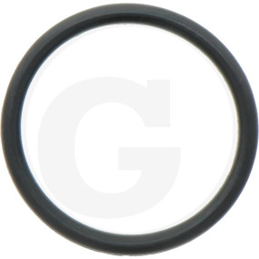 O-Ring Granit 6701210003700