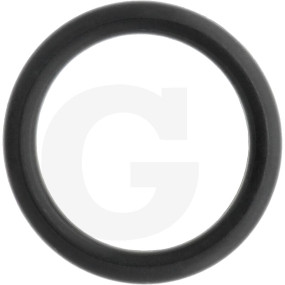 O-Ring Granit 6701210009600