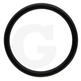 O-Ring Granit 6701210011400