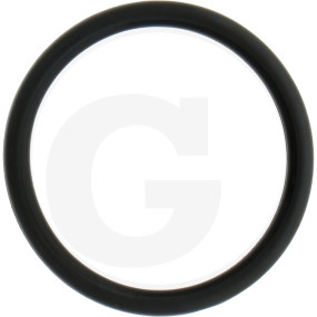 Dichtring F. Anschluß Granit 6701210018000