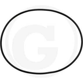 O-Ring 2,62X101,27 Granit 6701210020600