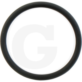 O-Ring Granit