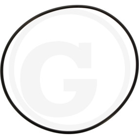 O-Ring Granit 6701210034900
