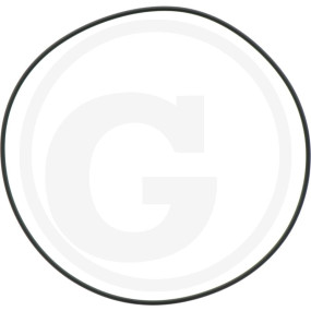 O-Ring Granit 6701210035300