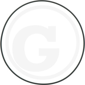 O-Ring Granit 6701210035900