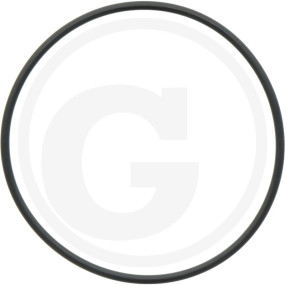 O-Ring 3,53X98,02Mm Granit 6701210036100