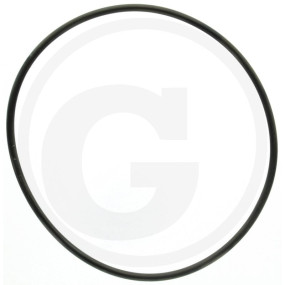 O-Ring 3.53X117.1 Granit