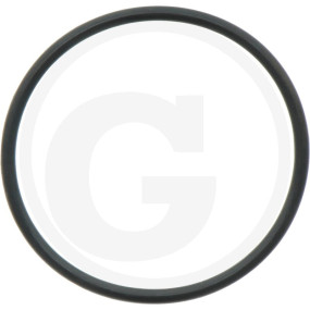 O-Ring 2,62X45,69 Granit 6701210038500