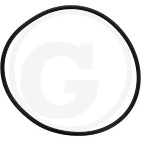 O-Ring 2,62X 75,87 Granit 6701210043100