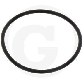 O-Ring für Filtereinsatz Granit