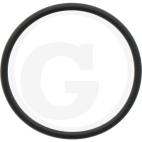 O-Ring Pas.f.filtergehäuse M146 Granit